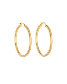 Σκουλαρίκια Γυναικεία Selena από επιχρυσωμένο ασήμι 925, κρίκος SSR3695-3GD