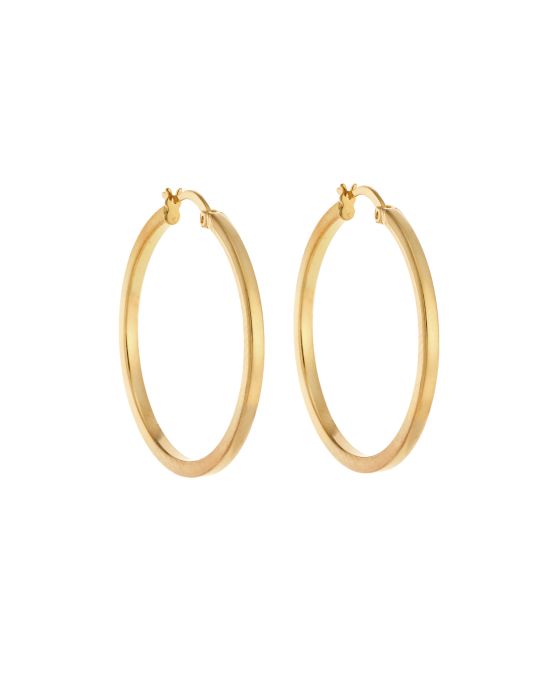 Σκουλαρίκια Γυναικεία Selena από επιχρυσωμένο ασήμι 925, κρίκος SSR3695-3GD