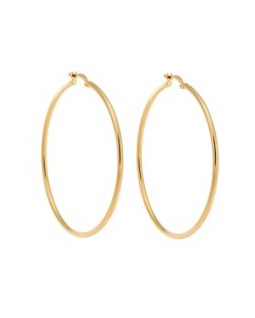 Σκουλαρίκια Γυναικεία Selena από επιχρυσωμένο ασήμι 925, κρίκος SSR3696-5GD