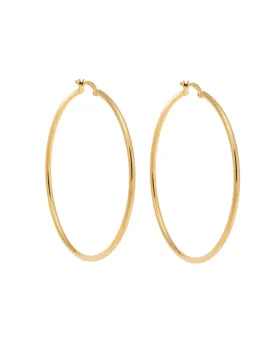 Σκουλαρίκια Γυναικεία Selena από επιχρυσωμένο ασήμι 925, κρίκος SSR3696-5GD