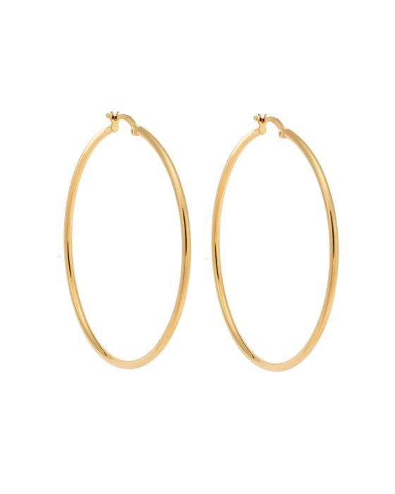 Σκουλαρίκια Γυναικεία Selena από επιχρυσωμένο ασήμι 925, κρίκος SSR3696-5GD