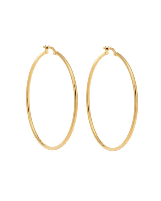 Σκουλαρίκια Γυναικεία Selena από επιχρυσωμένο ασήμι 925, κρίκος SSR3696-5GD