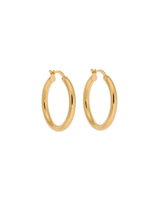 Σκουλαρίκια Γυναικεία Selena από επιχρυσωμένο ασήμι 925, κρίκος SSR3697-2GD