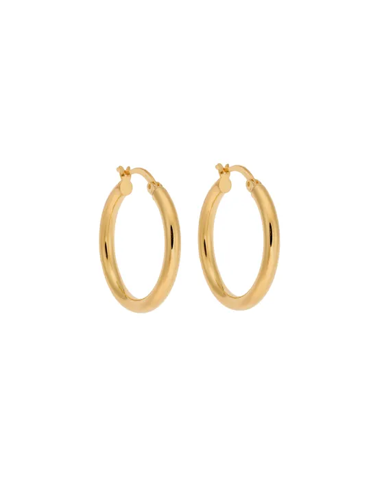Women's Selena earrings made of gold-plated 925 silver, hoop SSR3697-2GD, Silver, Gold
