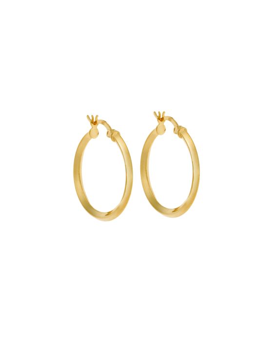 Σκουλαρίκια Γυναικεία Selena από επιχρυσωμένο ασήμι 925, κρίκος SSR3701GD