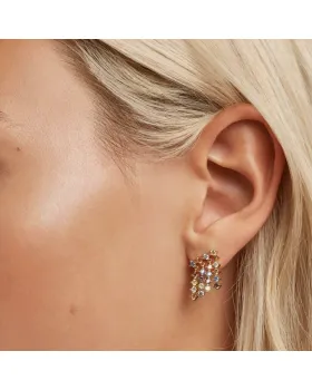 Σκουλαρίκια PDPAOLA από ασήμι 925 και επίχρυσο πλατίνωμα 18Κ AR01-293-U - 