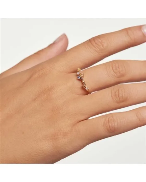 Δαχτυλίδι PDPAOLA από ασήμι 925 και επίχρυσο πλατίνωμα 18Κ - 