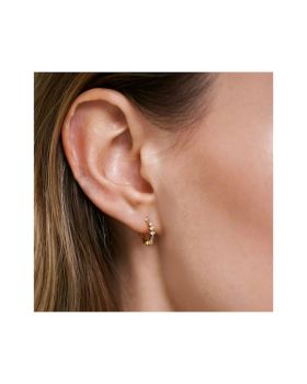 Σκουλαρίκια PDPAOLA Ombre από ασήμι 925 AR01-219-U - 