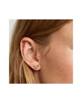 Σκουλαρίκια PDPAOLA Ζώδιο Υδροχόος από Ασήμι 925 AR01-402-U -  Σκουλαρίκια PDPAOLA Ζώδιο Υδροχόος από Ασήμι 925 AR01-402-U -