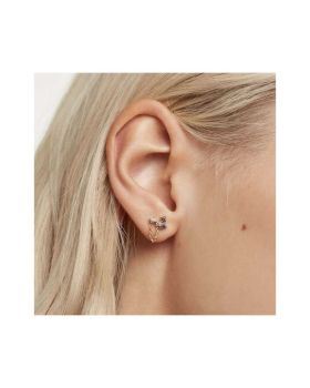 Σκουλαρίκια PDPAOLA Καρφωτά Με Πέτρες Fox από Ασήμι 925 Επιχρυσωμένα AR01-295-U - 