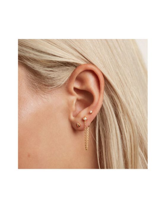 PDPAOLA Charlie Σκουλαρίκια από Ασήμι Επιχρυσωμένα με Πέτρες & Πέρλες BU01-019-U - 