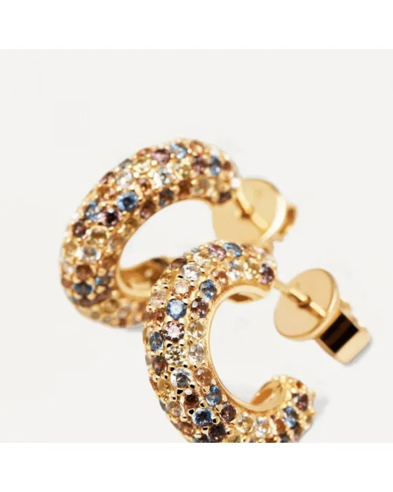 Σκουλαρίκια PDPAOLA Tiger από ασήμι 925 AR01-291-U - 