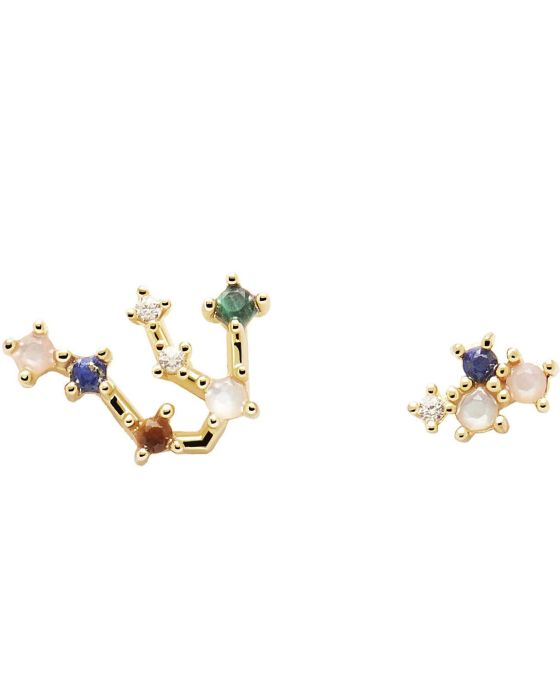 Σκουλαρίκια PDPAOLA Ζώδιο Υδροχόος από Ασήμι 925 AR01-402-U Σκουλαρίκια PDPAOLA Ζώδιο Υδροχόος από Ασήμι 925 AR01-402-U