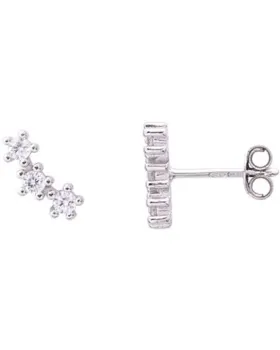 Σκουλαρίκια For You Jewels Aria E17353, Ασήμι 925, Ασημί