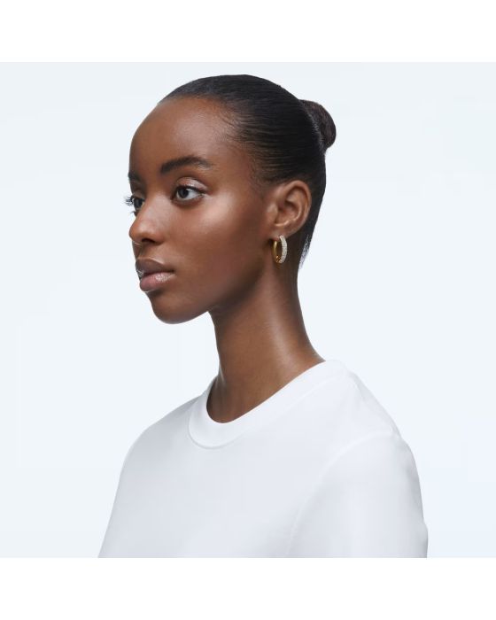 Σκουλαρίκια Swarovski Dextera 5618305 - 