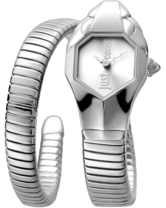 Female watch Just Cavalli Glam DNA JC1L001M0015, Silver dial, Bracelet in Stainless Steel