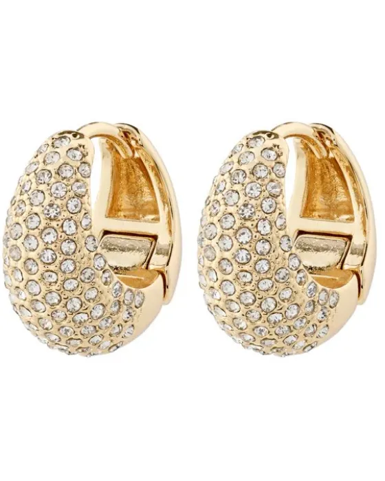 Σκουλαρίκια Pilgrim Focus 112432003