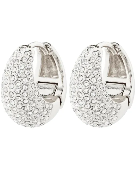 Σκουλαρίκια Pilgrim Focus 112436003