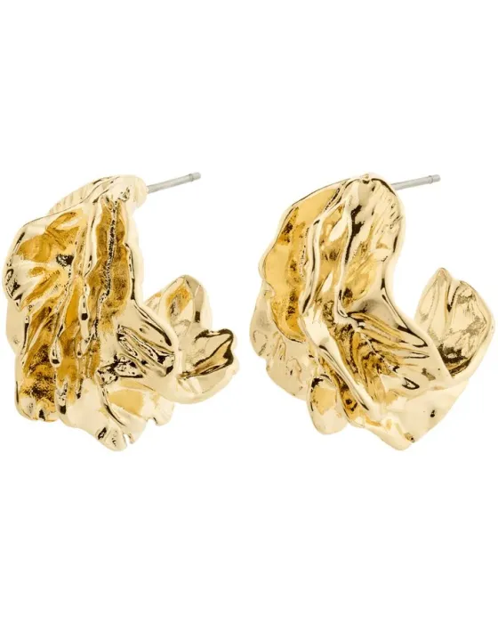 Σκουλαρίκια Pilgrim Eclipse 122522003