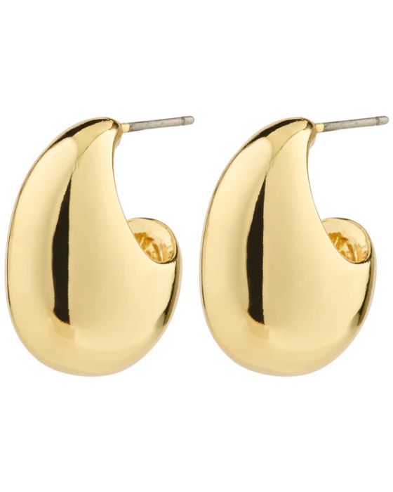 Σκουλαρίκια Pilgrim Intent 132442003