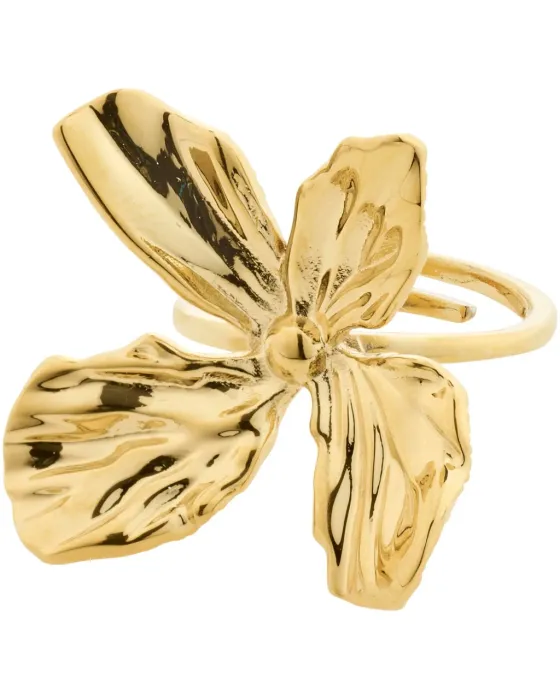 Δαχτυλίδι Pilgrim Ρυθμιζόμενο Dream 132522004