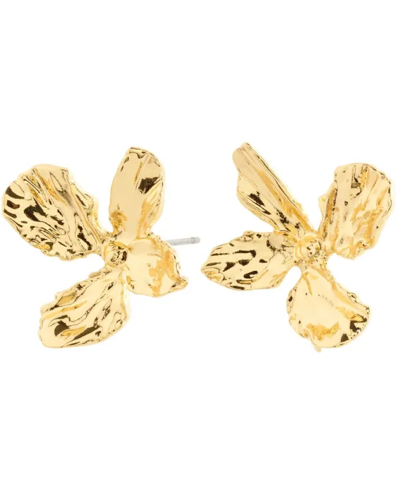 Σκουλαρίκια Pilgrim Dream 132522013