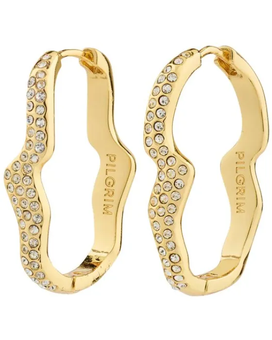 Σκουλαρίκια Pilgrim Connect 142442013