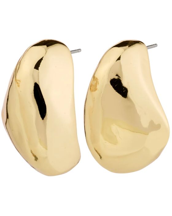 Σκουλαρίκια Pilgrim Dune 262512033