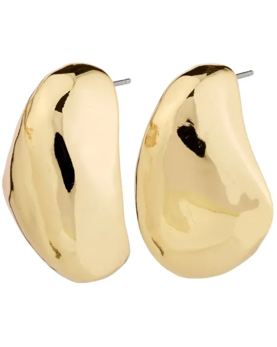 Σκουλαρίκια Pilgrim Dune 262512033