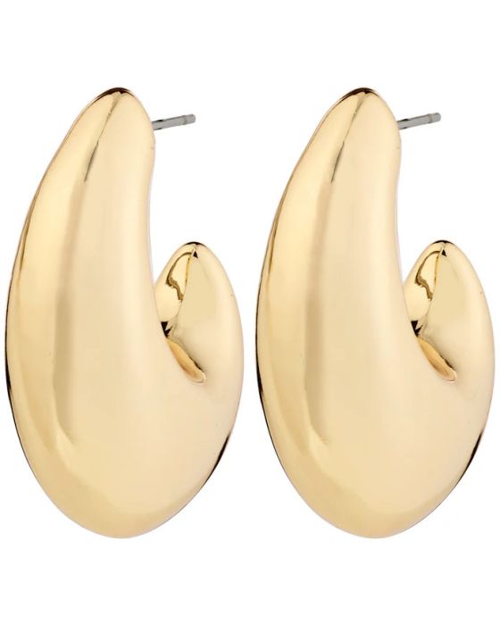 Σκουλαρίκια Pilgrim Rory 262512093