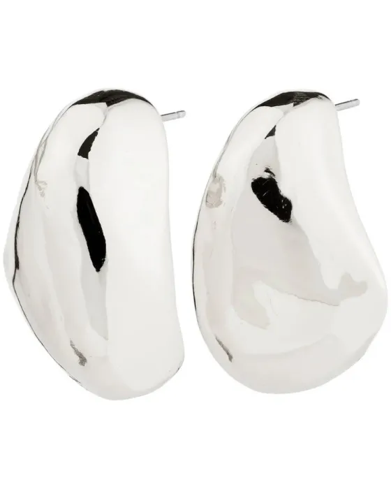 Σκουλαρίκια Pilgrim Dune 262516033