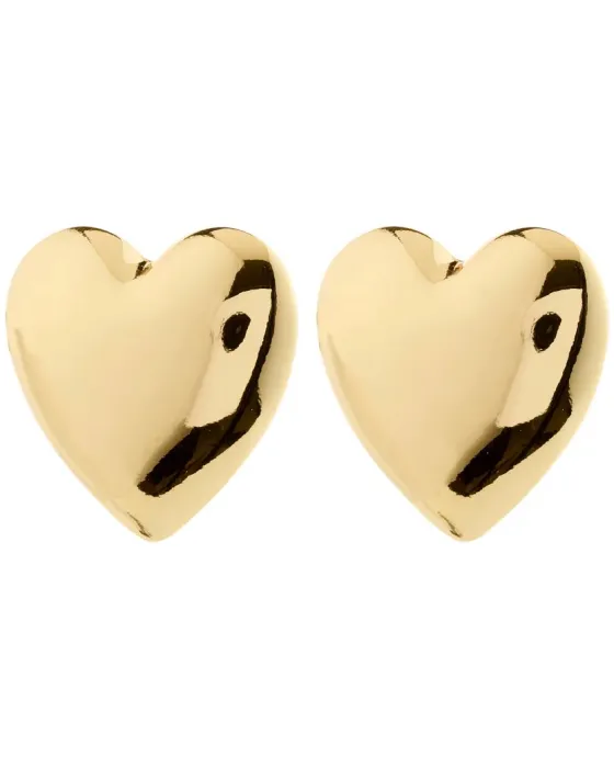 Σκουλαρίκια Pilgrim Annemette 262522073