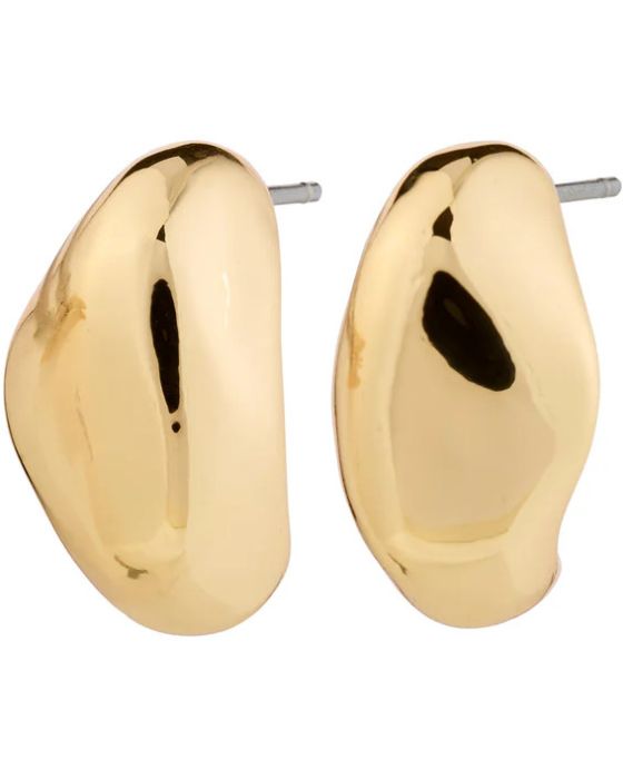 Σκουλαρίκια Pilgrim Dune 282512013