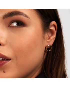 Σκουλαρίκια Trussardi T-Heritage TJAXB09 - 