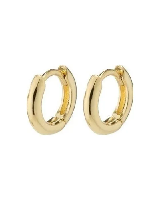 Earings Σκουλαρίκια Pilgrim Tyra 662232003, Brass, Gold
