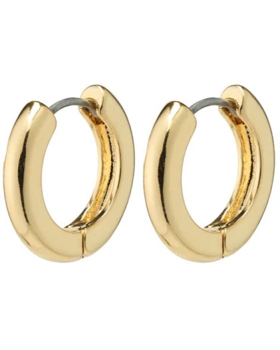 Σκουλαρίκια Pilgrim Tyra 662232013