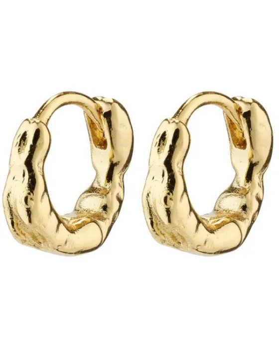 Σκουλαρίκια Pilgrim Eddy 662312023