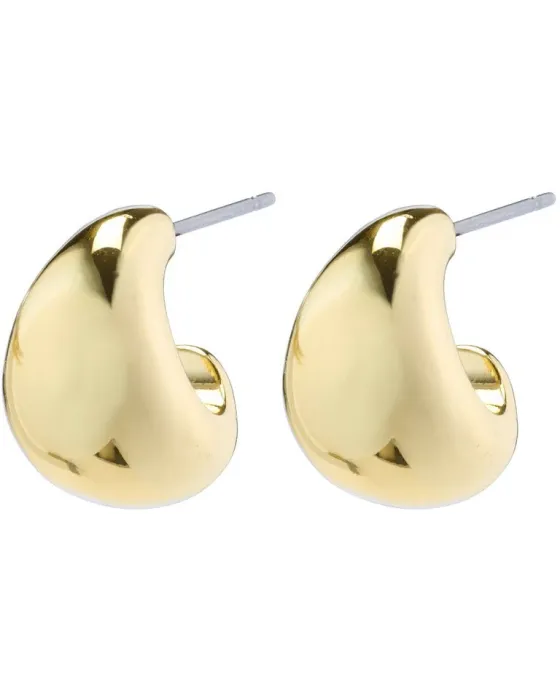 Σκουλαρίκια Pilgrim Alexane 672232023