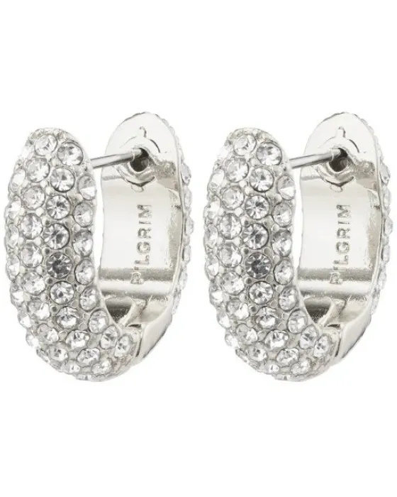 Σκουλαρίκια Pilgrim Lona 672236003