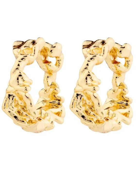 Σκουλαρίκια Pilgrim Trust 672512063