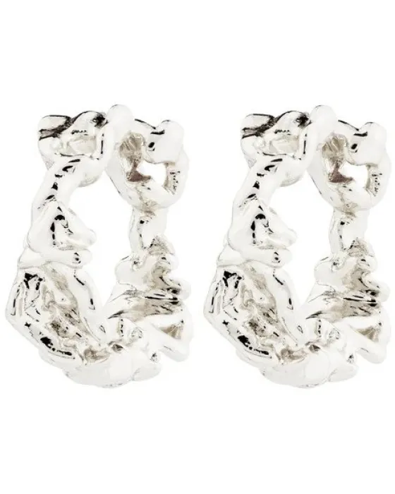 Σκουλαρίκια Pilgrim Trust 672516063