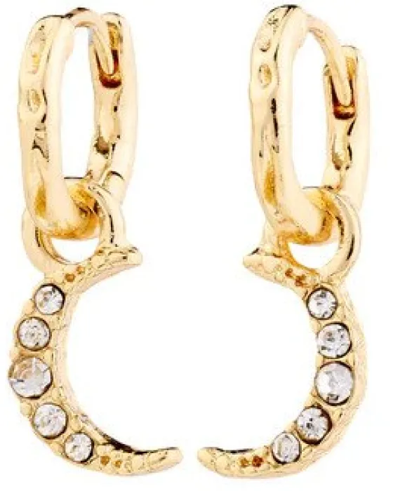 Σκουλαρίκια Pilgrim Evgenia 692512013