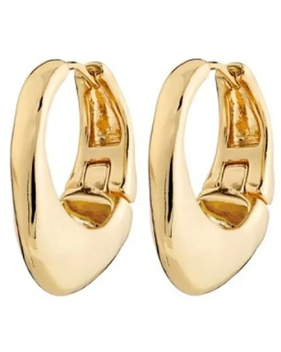 Σκουλαρίκια Pilgrim Dune 102512003