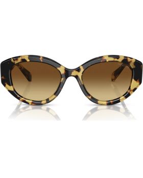 Swarovski Dextera SK6008 5679535