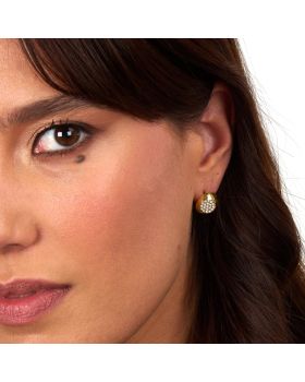 Σκουλαρίκια Trussardi  T-Design TJAXC99 - 