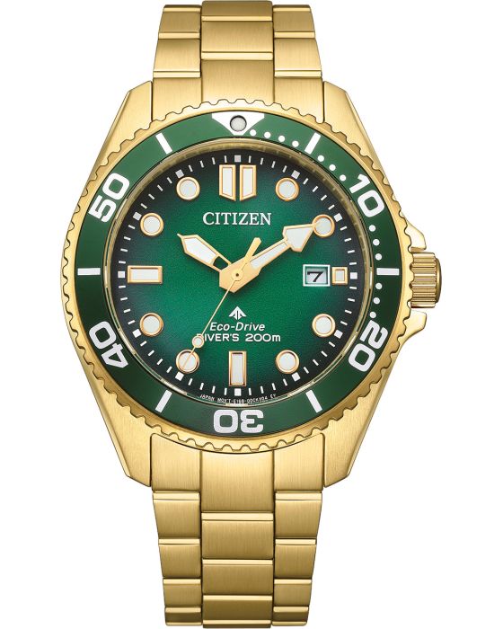 Citizen Promaster Eco-Drive BN0262-59W