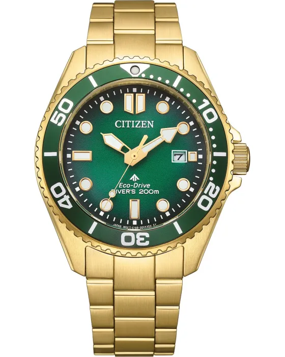 Citizen Promaster Eco-Drive BN0262-59W