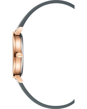 Kenneth Cole Transparent dial KC51129002 - 