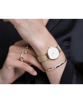 Daniel Wellington Petite Evergold DW00100346 - 