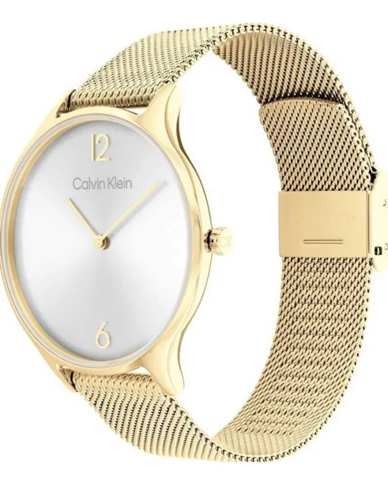 Calvin Klein Timeless 25200003, όψη 2